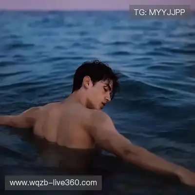 沈秦飚
